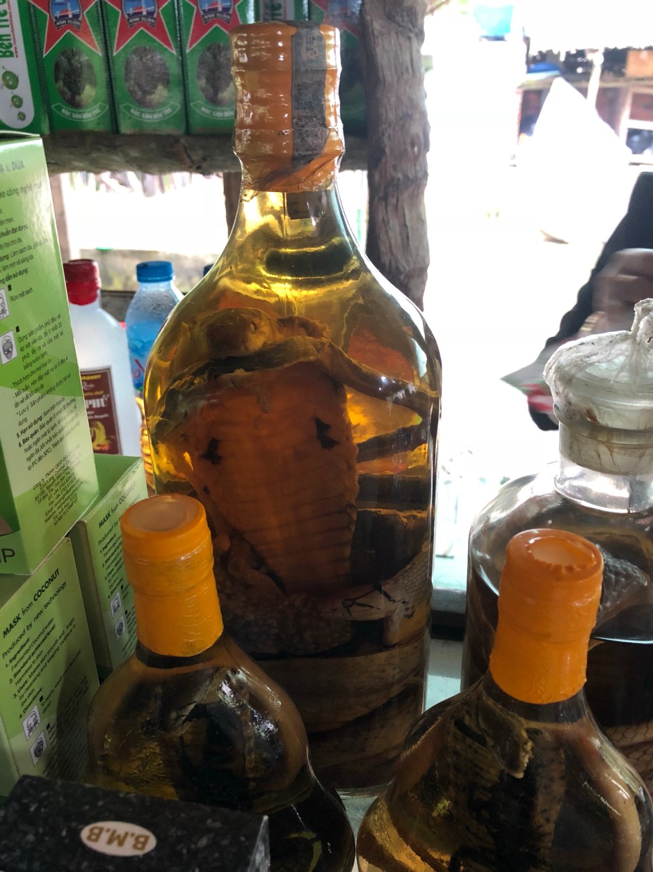 Snake Wine Vietnam